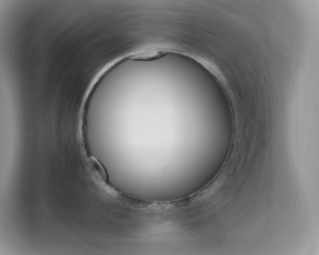 X0000113090912200908281005