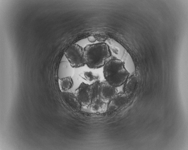 X0000113090913200908281004