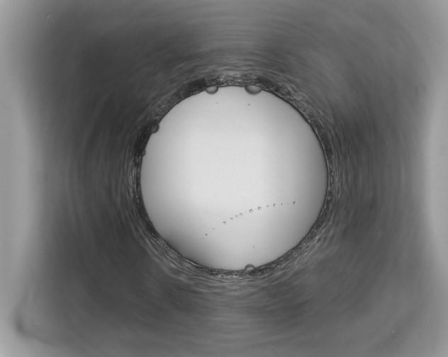 X0000113090914200908281004