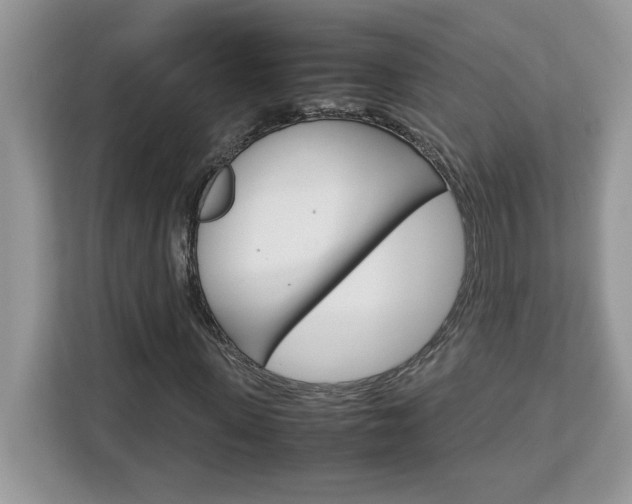 X0000113090915200908281004