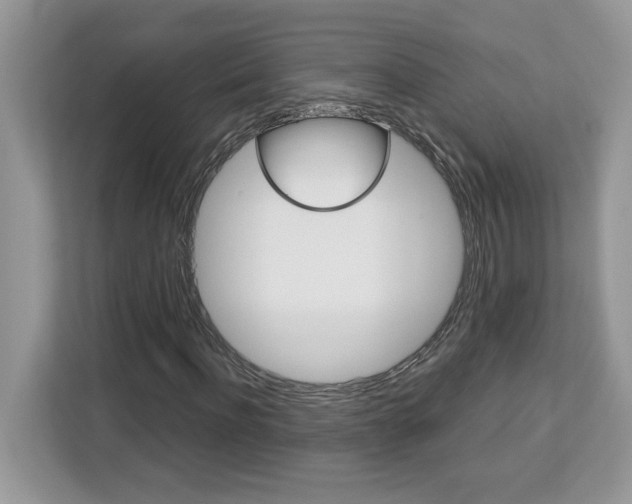X0000113090916200908281004