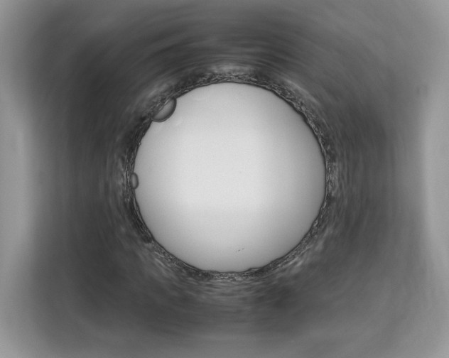 X0000113090917200908281004