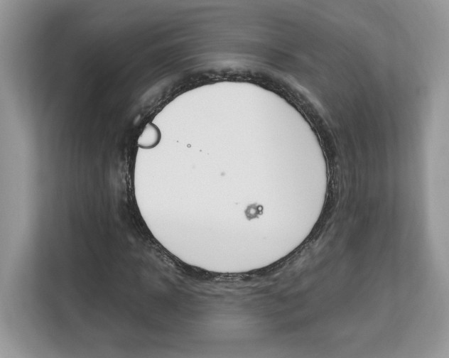 X0000113090918200908281004