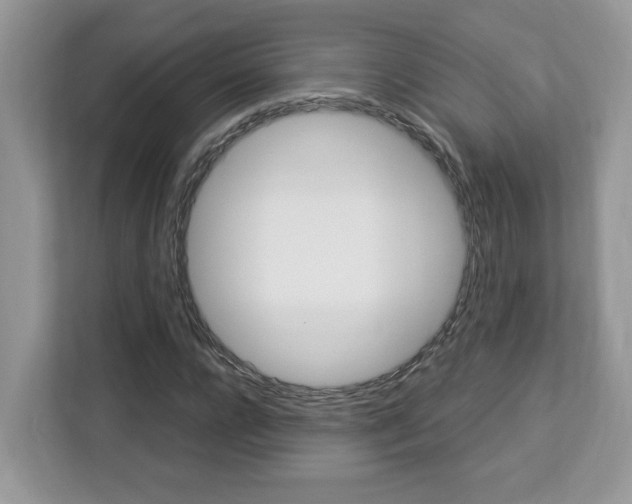 X0000113090920200908281004