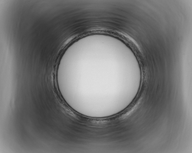 X0000113090921200908281004