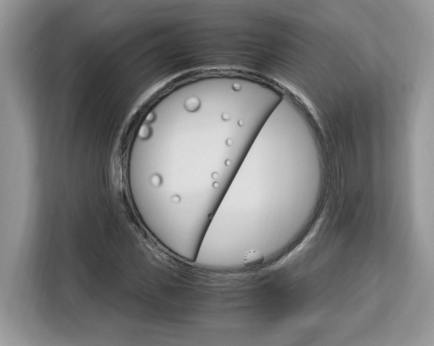 X0000113090925200908281004