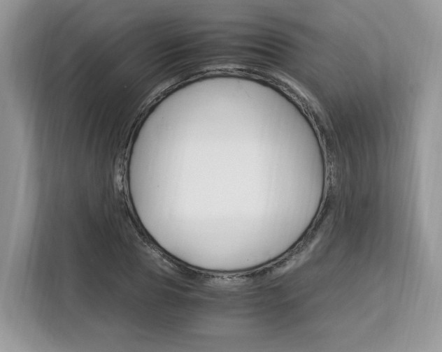 X0000113090929200908281004