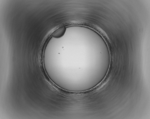 X0000113090930200908281004