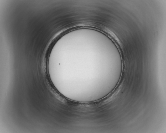 X0000113090931200908281004