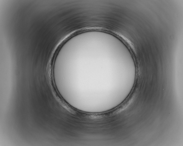 X0000113090933200908281004