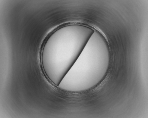 X0000113090935200908281004
