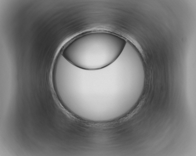 X0000113090936200908281004
