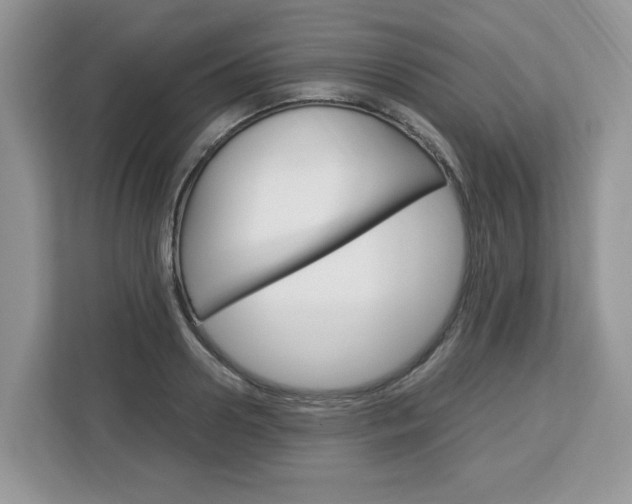X0000113090938200908281004