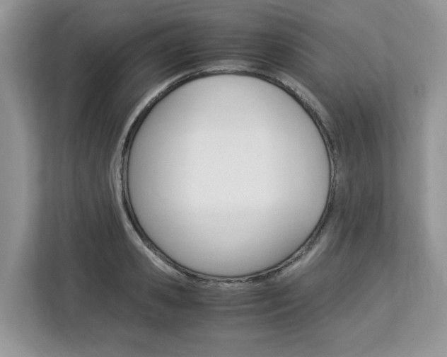 X0000113090941200908281004