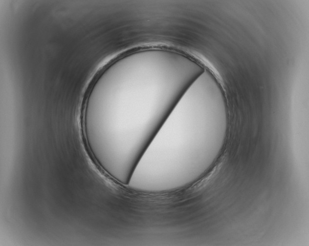 X0000113090943200908281004