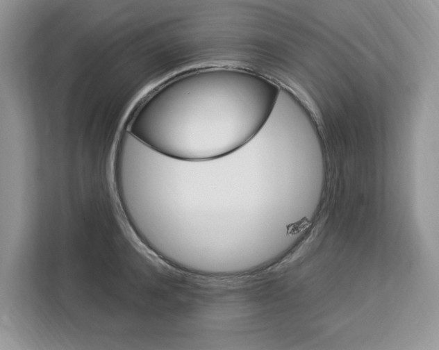 X0000113090944200908281004