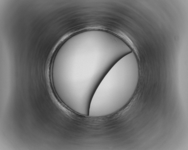 X0000113090947200908281004