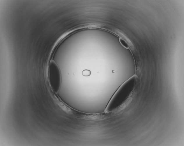 X0000113090948200908281004