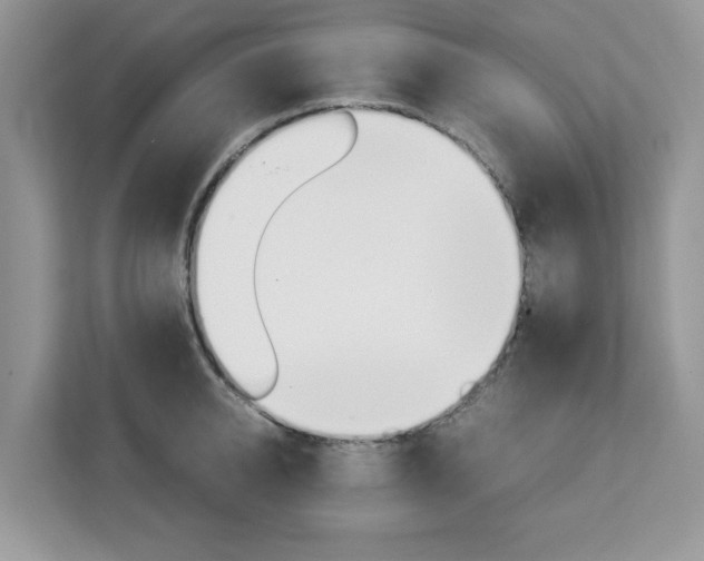 X0000113090950200908281004