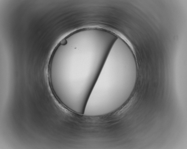 X0000113090951200908281004