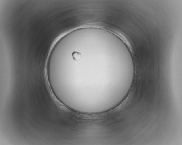 X0000113090952200908281005