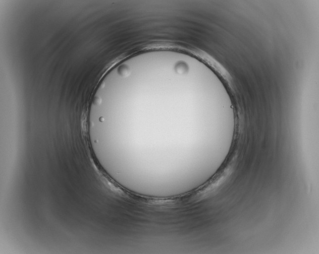 X0000113090953200908281005