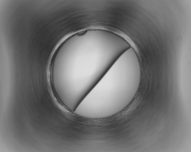 X0000113090955200908281005