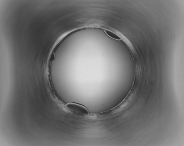 X0000113090956200908281005