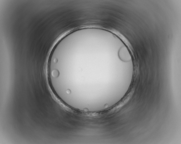 X0000113090957200908281005