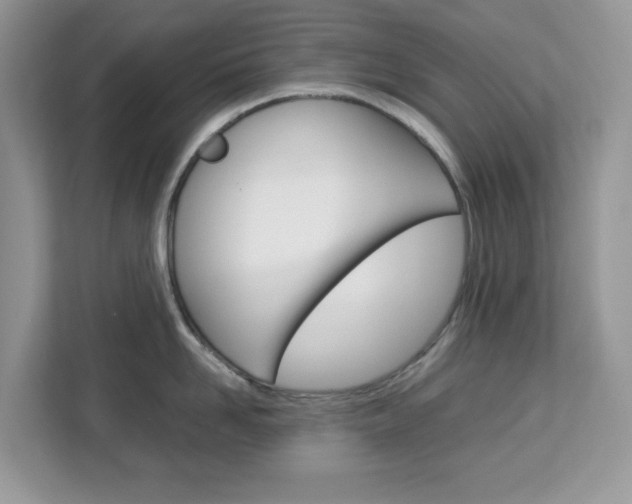 X0000113090958200908281005