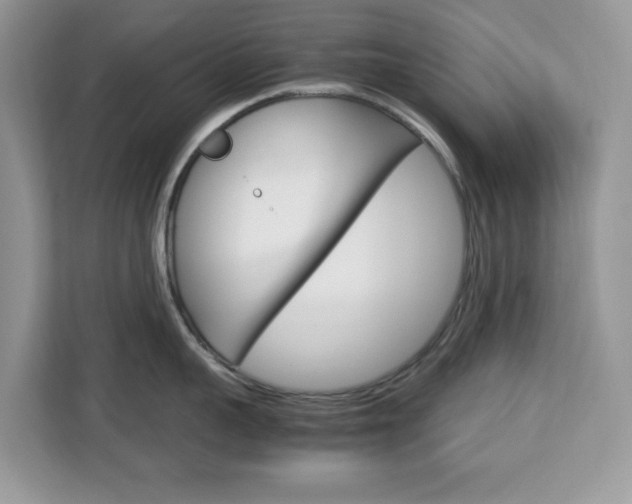 X0000113090959200908281005