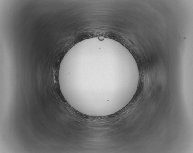 X0000113090962200908281004