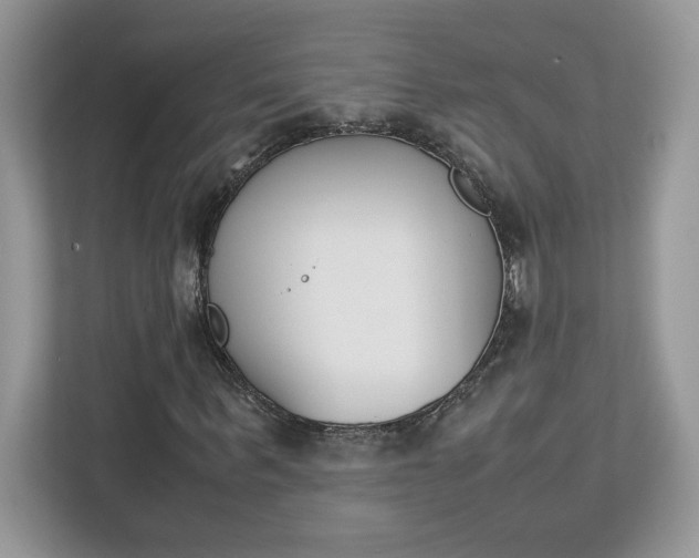 X0000113090963200908281004