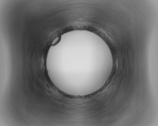 X0000113090964200908281004