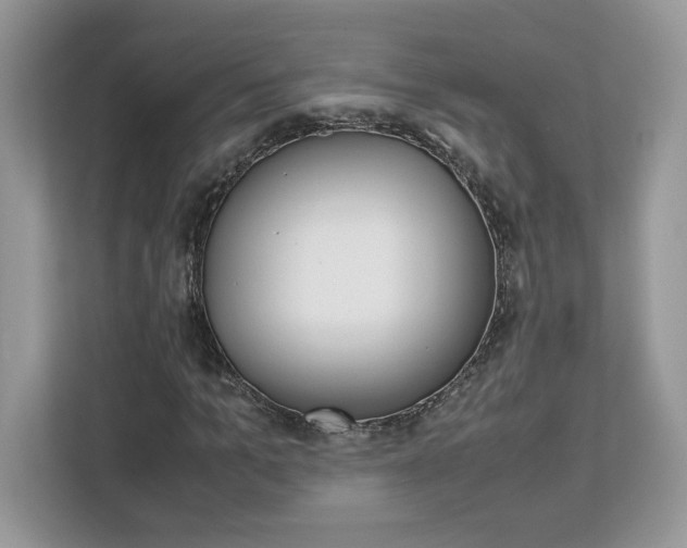 X0000113090965200908281004