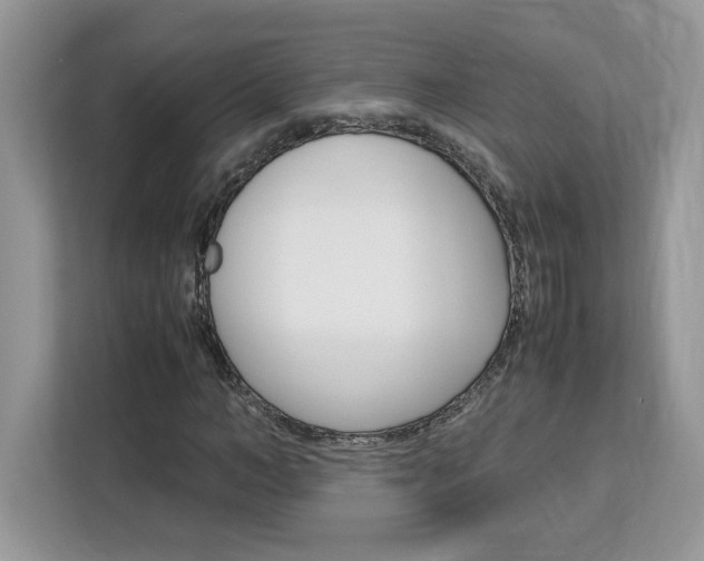 X0000113090966200908281004