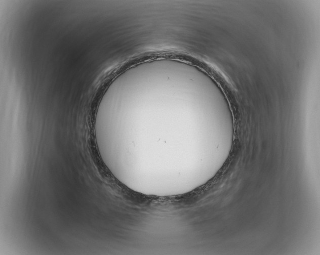 X0000113090967200908281004