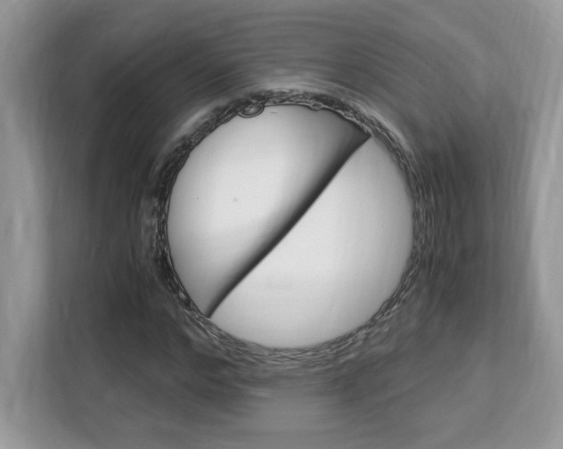 X0000113090968200908281004