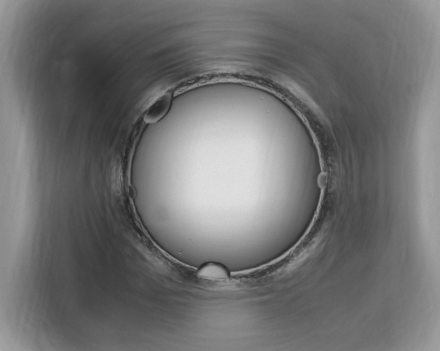 X0000113090969200908281004