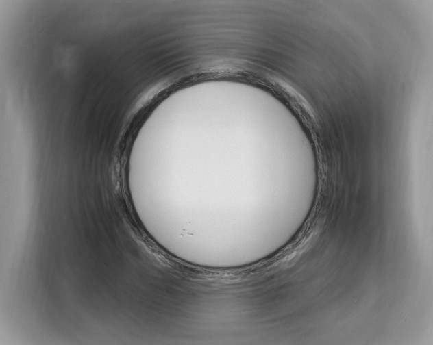 X0000113090970200908281004