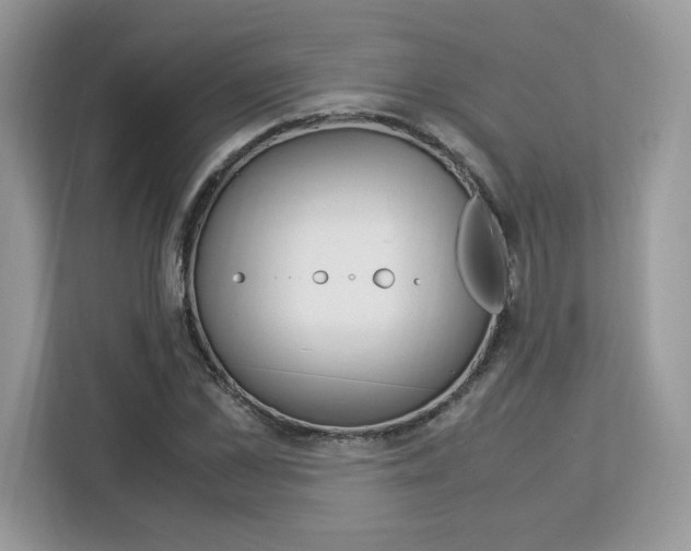 X0000113090973200908281004