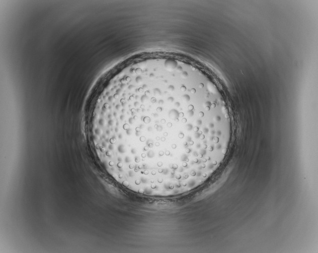 X0000113090974200908281004