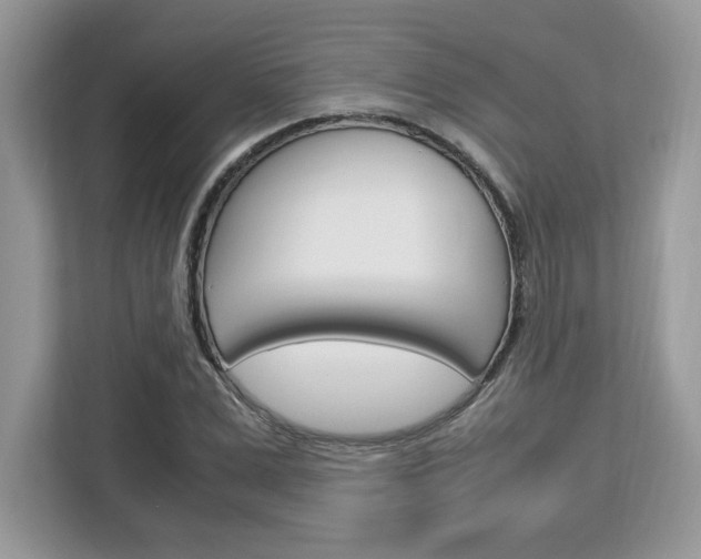 X0000113090975200908281004