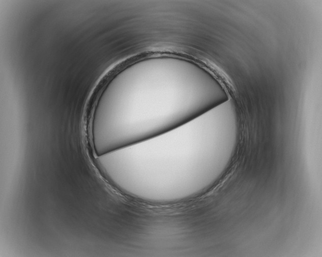 X0000113090976200908281004