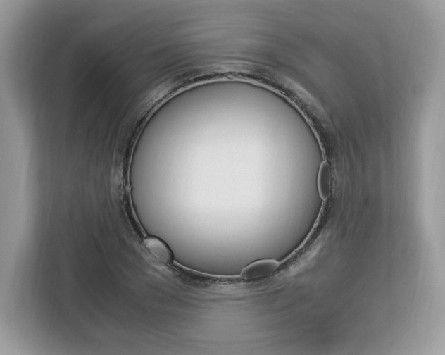 X0000113090977200908281004