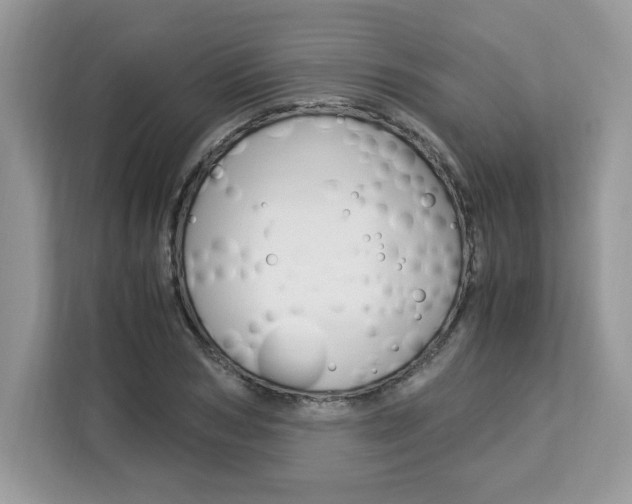 X0000113090978200908281004