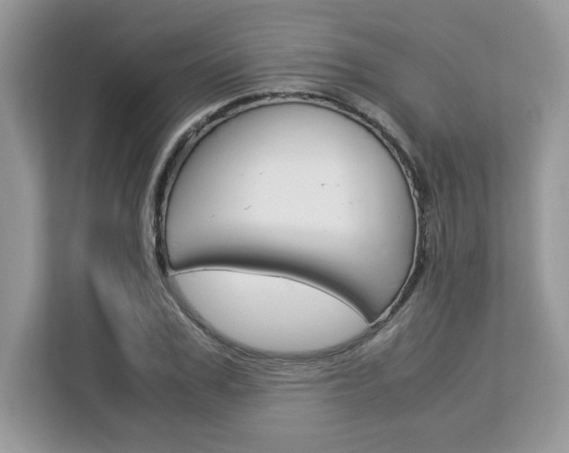 X0000113090979200908281004