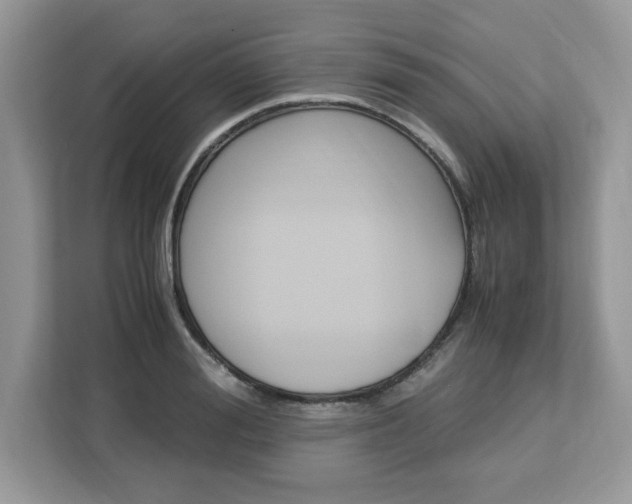 X0000113090988200908281004