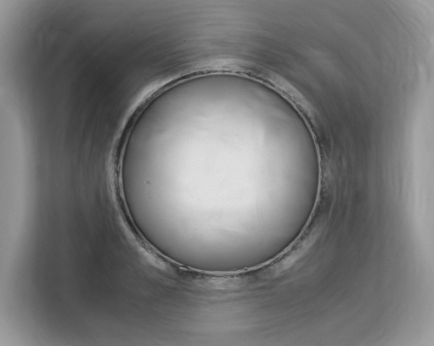 X0000113090989200908281004