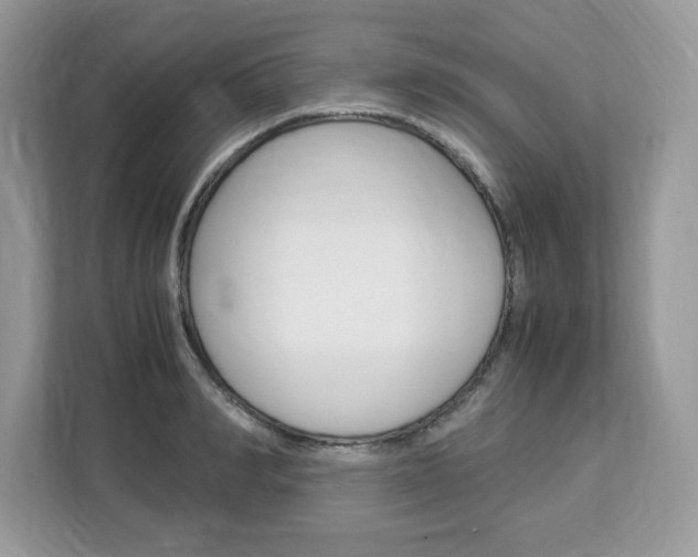 X0000113090990200908281004
